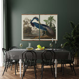 Louisiana Heron Vintage Print