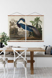 Louisiana Heron Vintage Print