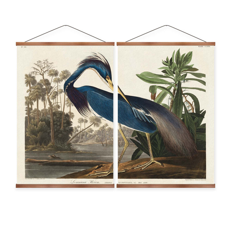 Louisiana Heron Vintage Print