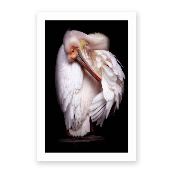 Pelican's Portrait by Eiji Itoyama