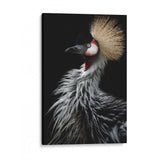 Crowned Crane's Portrait by Eiji Itoyama