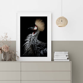 Crowned Crane's Portrait by Eiji Itoyama