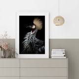 Crowned Crane's Portrait by Eiji Itoyama