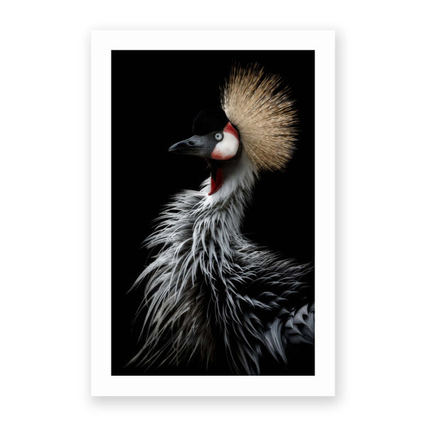 Crowned Crane's Portrait by Eiji Itoyama