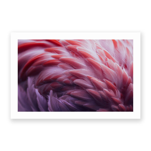 Flamingo by Angyalosi Beata