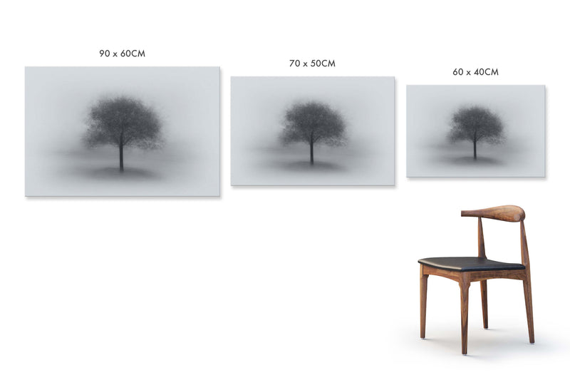 Tree in Fog by Aidong Ning