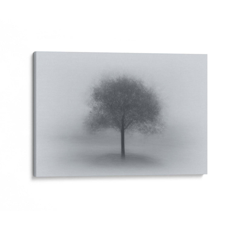 Tree in Fog by Aidong Ning