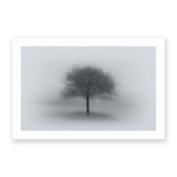 Tree in Fog by Aidong Ning