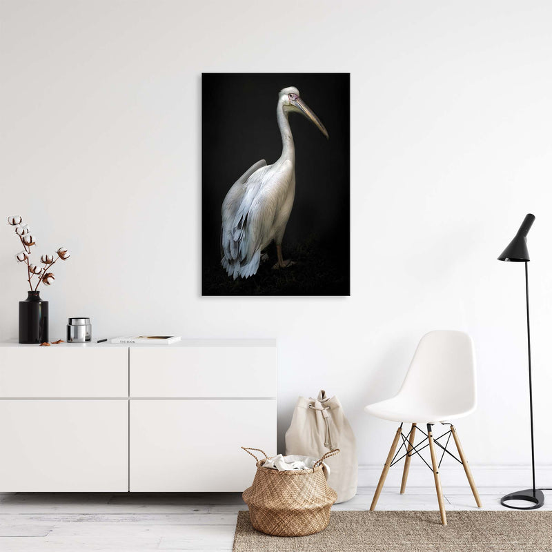 Pelican Portrait by Santiago Pascual Buye