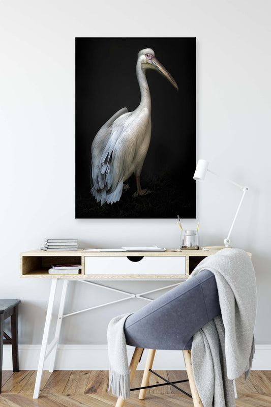 Pelican Portrait by Santiago Pascual Buye