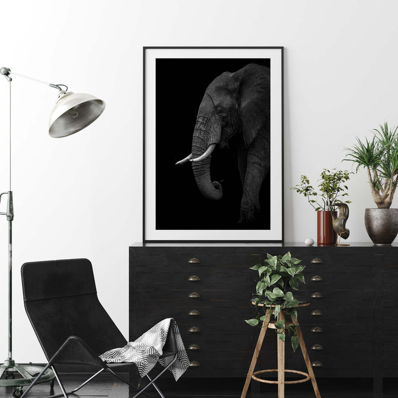 B+W Elephant by Ahmed Sobhi