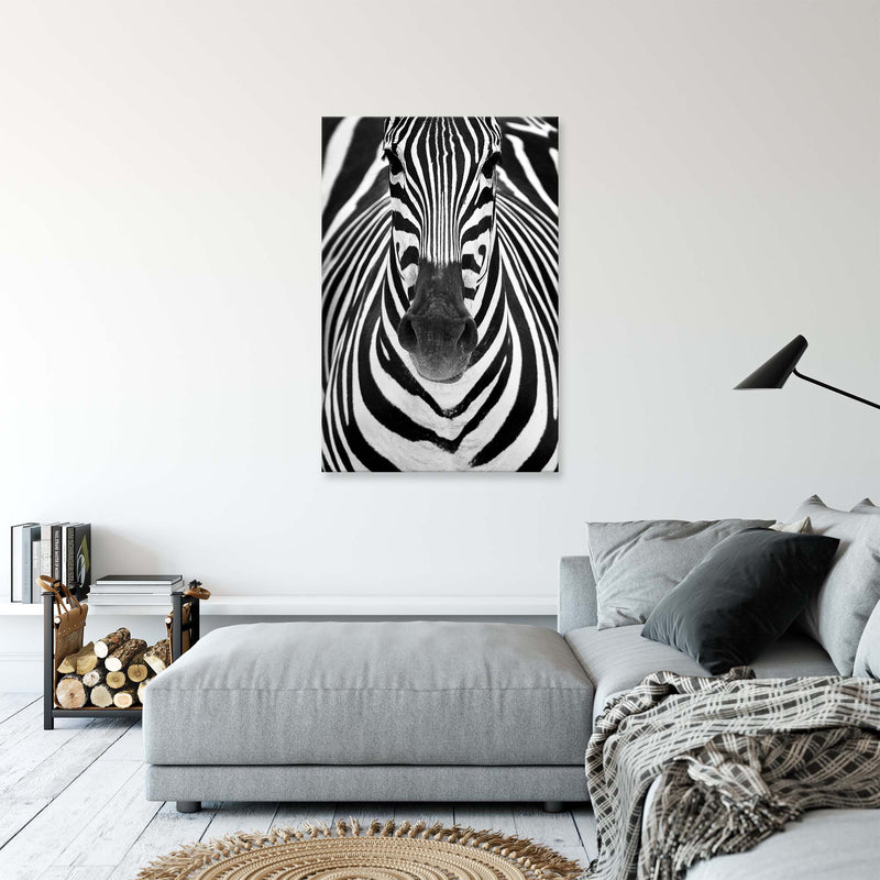 Zebra by Juan Luis Duran