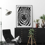 Zebra by Juan Luis Duran