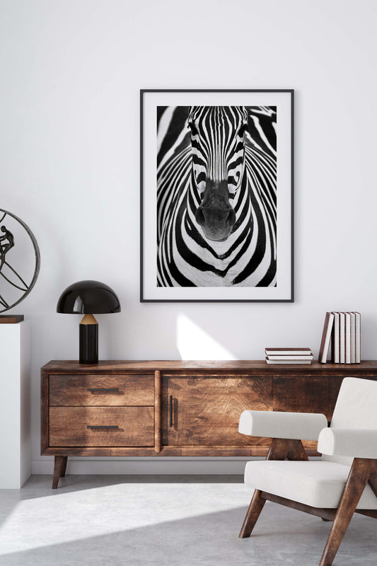 Zebra by Juan Luis Duran